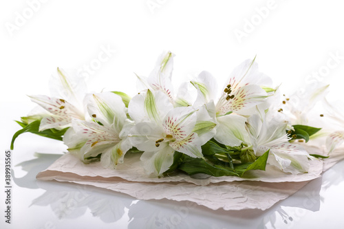 Graceful white flowers on a glossy background. Alstrameria. Blank for a greeting card