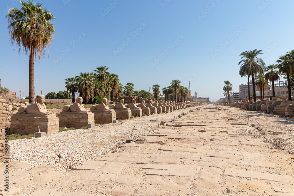 Sphinxes road at entrance to Luxor Temple, a large Ancient Egyptian temple complex located on the east bank of the Nile River in the city today known as Luxor (ancient Thebes).