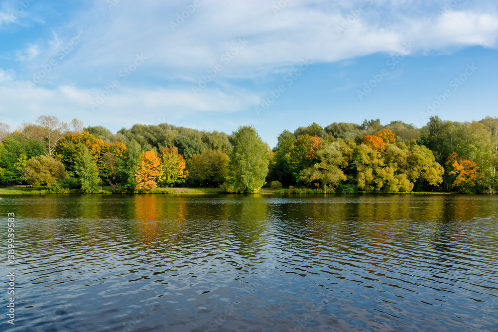 Autumn landscape on the river. Trees by the river