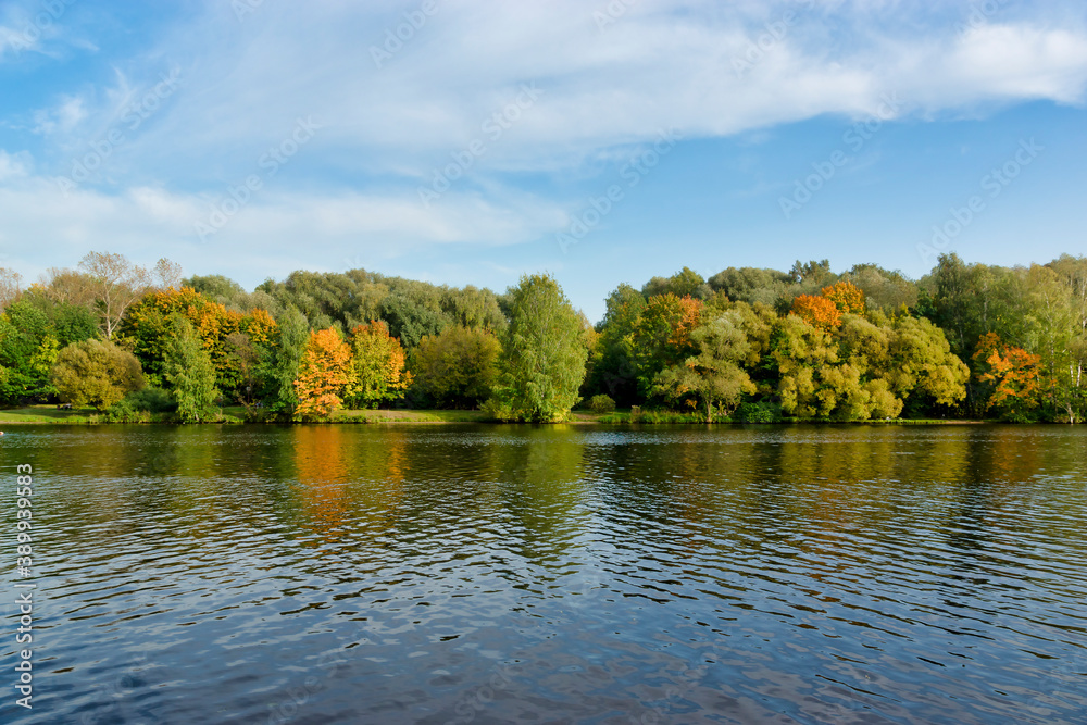 Autumn landscape on the river. Trees by the river Autumn landscape on the river. Trees by the river