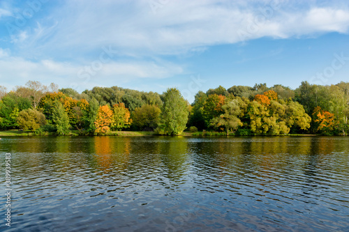 Autumn landscape on the river. Trees by the river