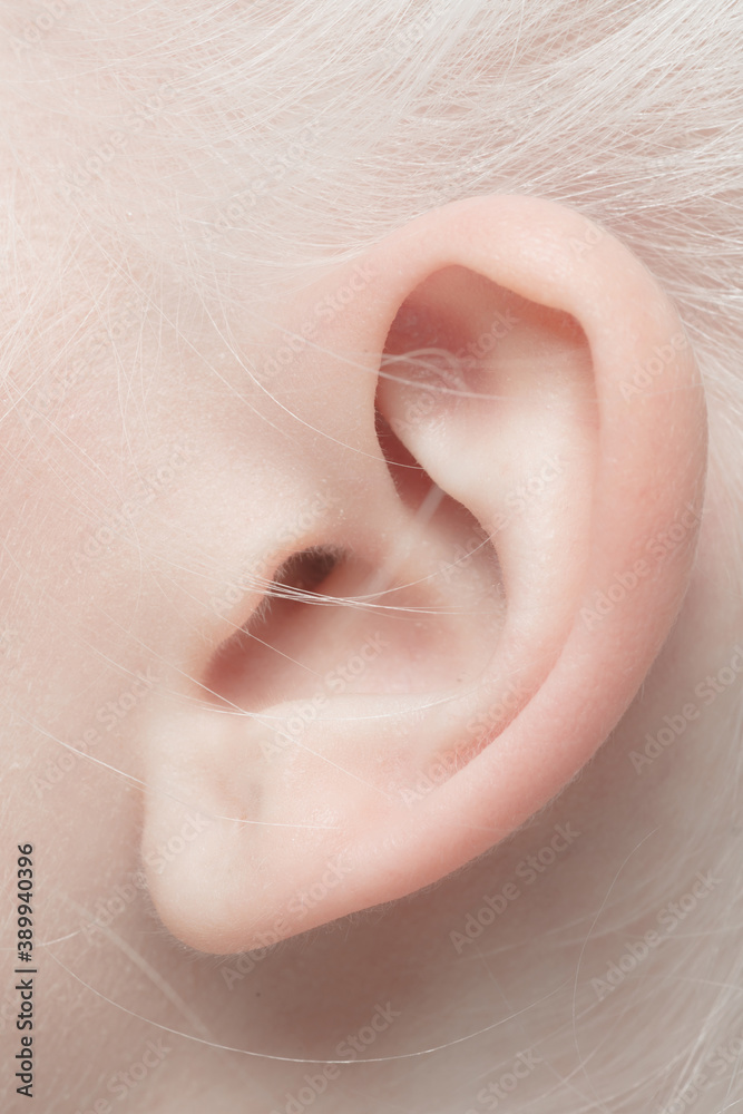 Ear. Close up portrait of beautiful albino female model. Parts of face and body. Beauty, fashion, skincare, cosmetics, wellness concept. Copyspace. Well-kept skin, fresh look, details.