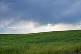 Green field and dramatic sky. Landscape of the field with gray clouds. Green field background photo.