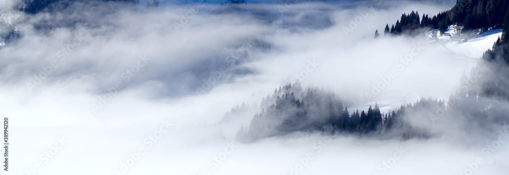 Obraz premium Winter