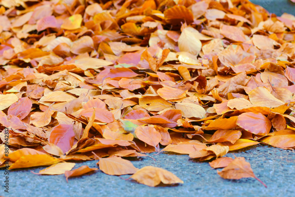 Herbstlaub auf Steinboden Herbstlaub auf Steinboden