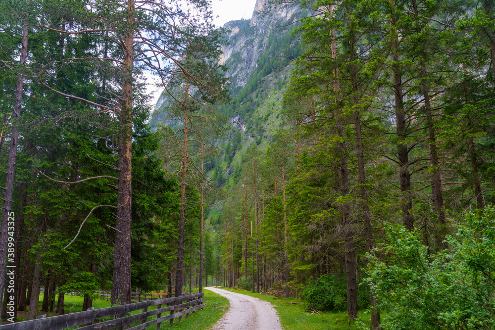 Fototapeta premium Mountain landscape along the road of Landro Valley, Dolomites