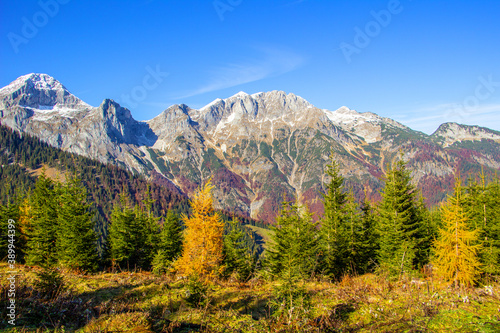 Herbstzauber auf der Karalm in St.Martin im Tennengebirge