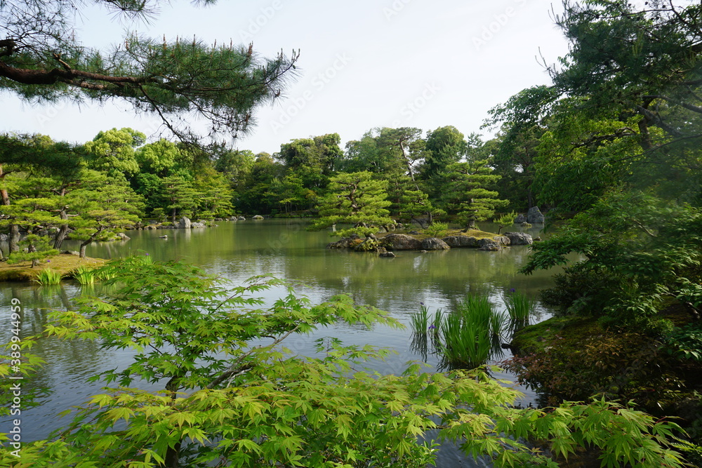 Beautiful pond with green view and clear sky Beautiful pond with green view and clear sky