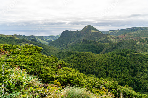 Azores, Island of Flores, green mountain landscape on the road to Lajes das Flores. photo