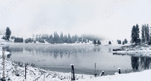 Winter Lake in the Forest © Black Dove Studio