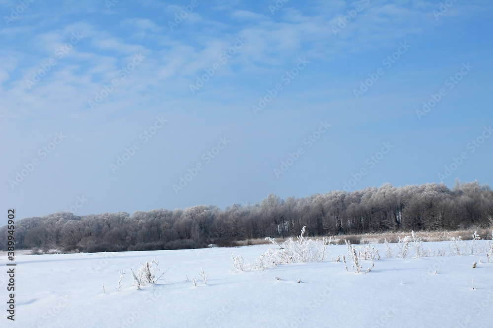 snow,winter