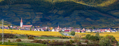 Le village du vignoble d'Ammerschwihr, Haut-Rhin, Alsace, Grand Est, France photo