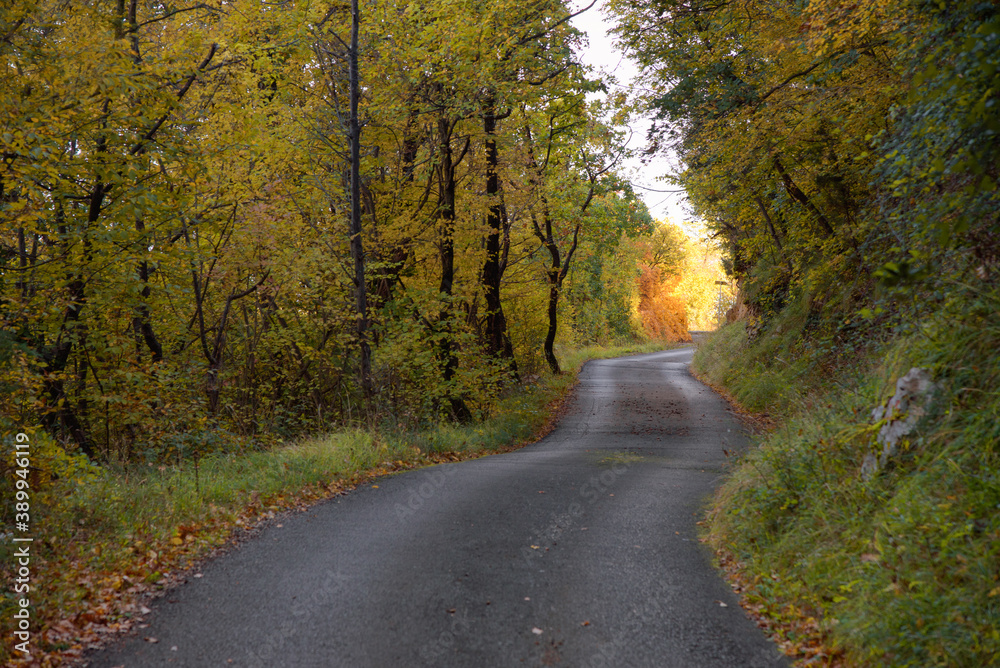 Obraz premium Landscape with winding asphalt road in the mountains, surrounded with colorful autumn trees. Travel background.