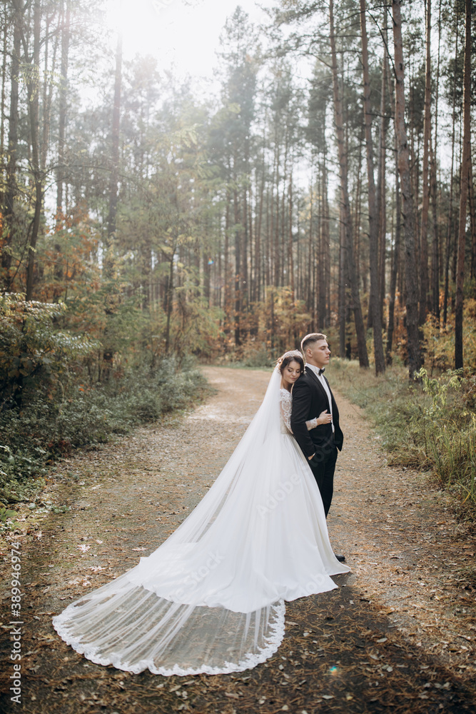 Walk of the bride and groom in the summer forest. Beautiful outdoor photo session. Walk of the bride and groom in the summer forest. Beautiful outdoor photo session.