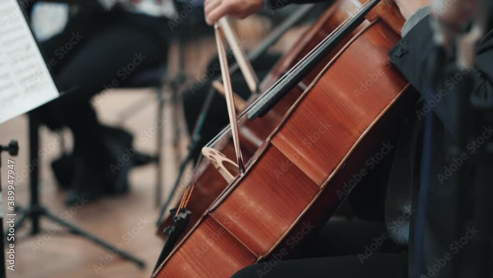 The musician plays the bow on the violin cello. The musician plays the bow on the violin cello.