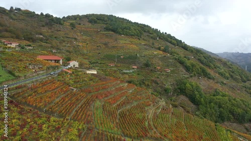 Colorful Vineyards In Ribeira Sacra, Sober - Autumn In Galicia, Spain - aerial photo