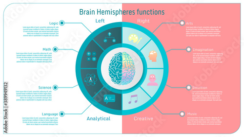 human brain hemispheres functional inforgraphic BG