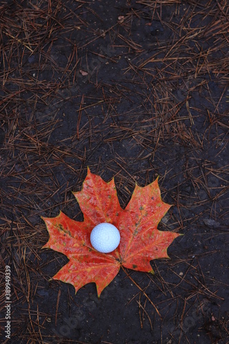 White golf ball on red maple leaf
