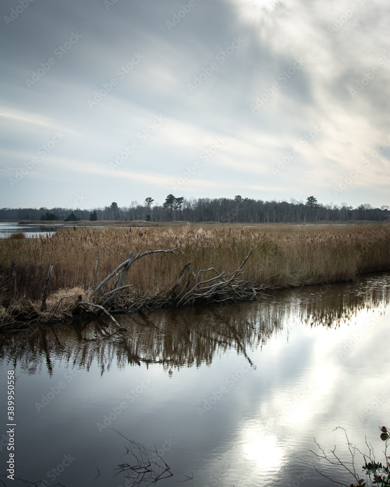 Winter marsh with dramatic sky reflected in water