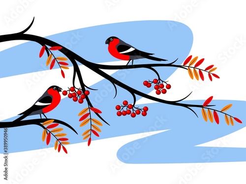 Autumn tree branch.
Autumn tree branches isolated on white background. Birds on a tree branch. Vector illustration.