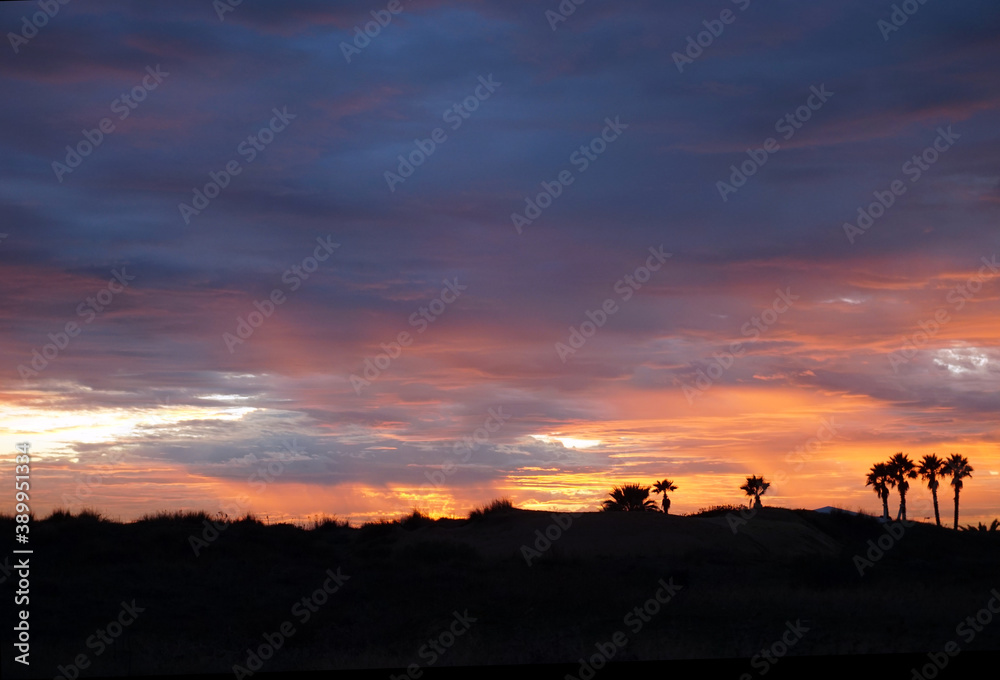 Sunset on the beach with Sunset on the beach with palms Sunset on the beach with Sunset on the beach with palms