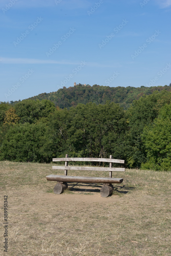 Empty single bench in a green forest landscape, blue sky Empty single bench in a green forest landscape, blue sky