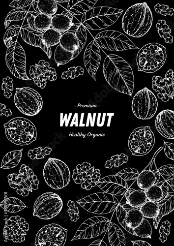 Walnut nuts hand drawn sketch. Nuts vector illustration. Organic healthy food. Great for packaging design. Engraved style. Black and white color.
