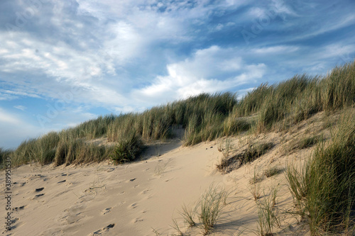 Dunes. North sea coast. Julianadorp. Netherlands.