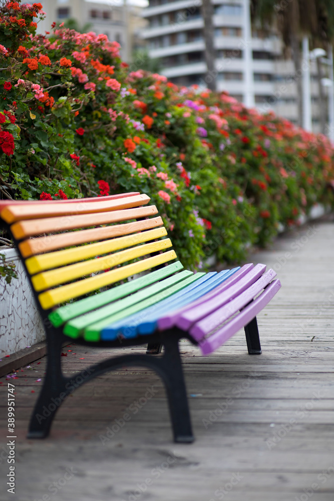 colorful benches on the bridge with flower beds
