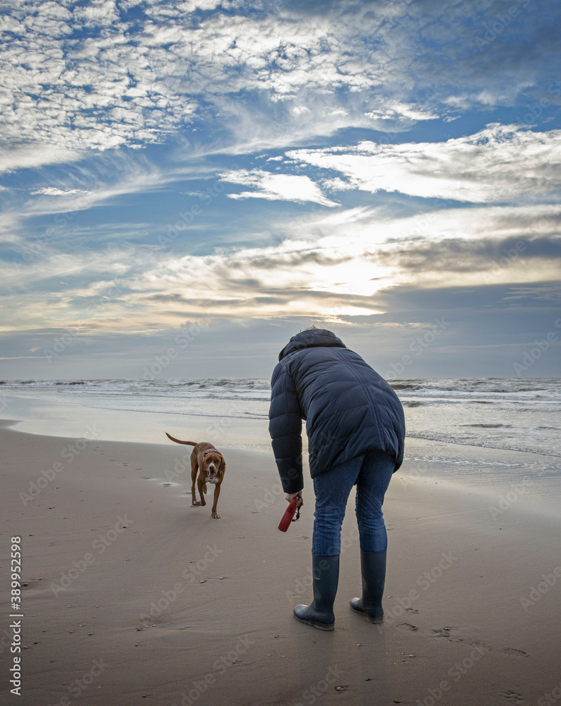 Walking the dog. Going for a stroll. North sea coast. Julianadorp. Netherlands. Dog running. Walking the dog. Going for a stroll. North sea coast. Julianadorp. Netherlands. Dog running.
