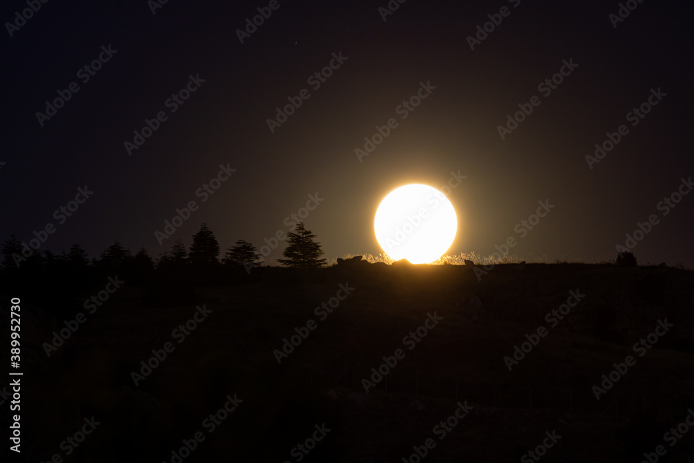 Moonrise over the hills. Silhouette of trees on the hill. moon at night. beautiful moonrise.