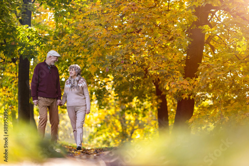 Happy senior couple spending time together in beautiful city park in autumn