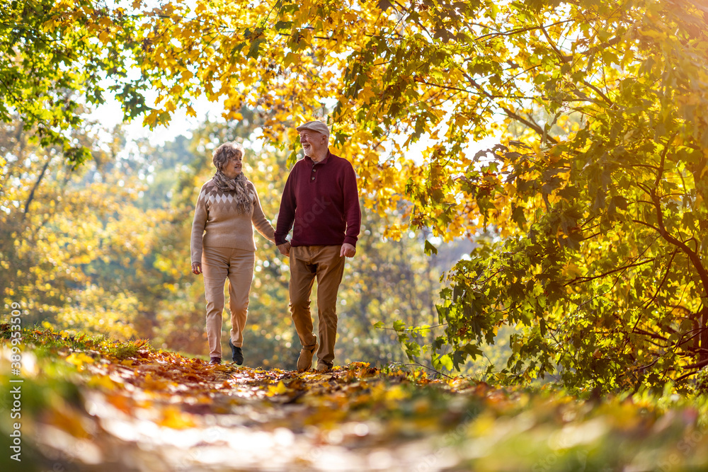 Fototapeta premium Happy senior couple spending time together in beautiful city park in autumn