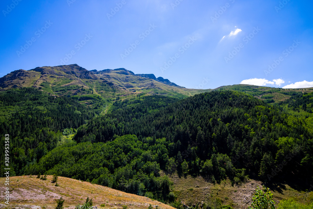 Landscape of the forest covered mountains 