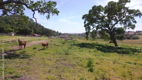 Beautiful rising aerial over a horse farm or ranch in Santa Barbara County, California.