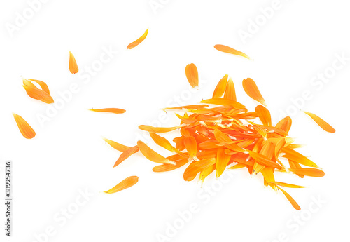 Petals of marigold flower isolated on a white background, top view. Calendula flower.