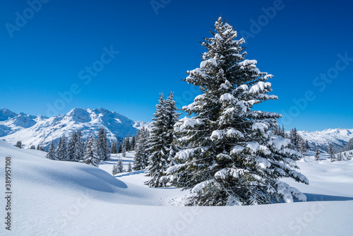 Winter in den Alpen