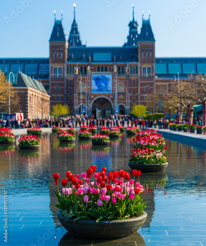Фотография Flores en el museo