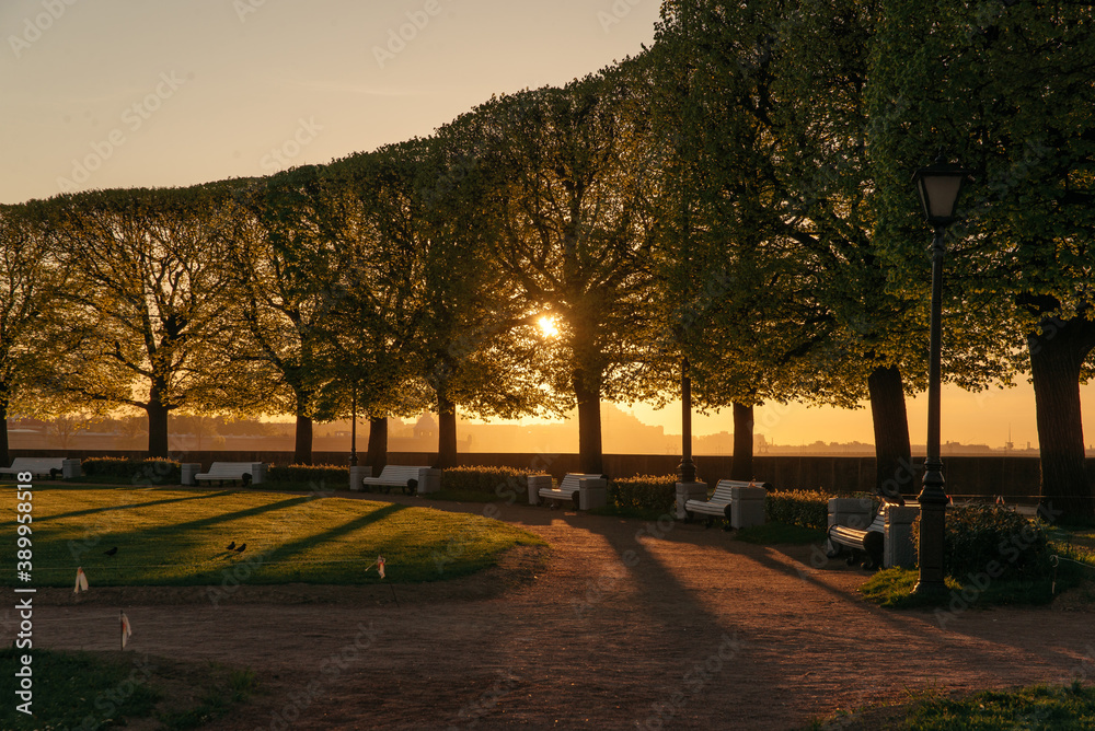 Fototapeta premium Dawn in the city Park. Saint Petersburg, Russia