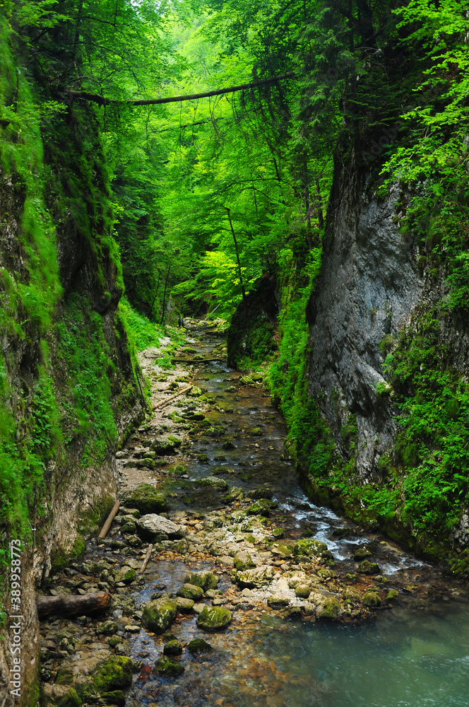 A narrow canyon in Galbena Gorges. Carptahia, Romania.