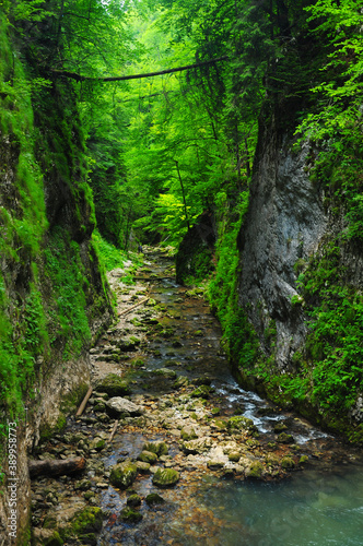 A narrow canyon in Galbena Gorges. Carptahia, Romania.