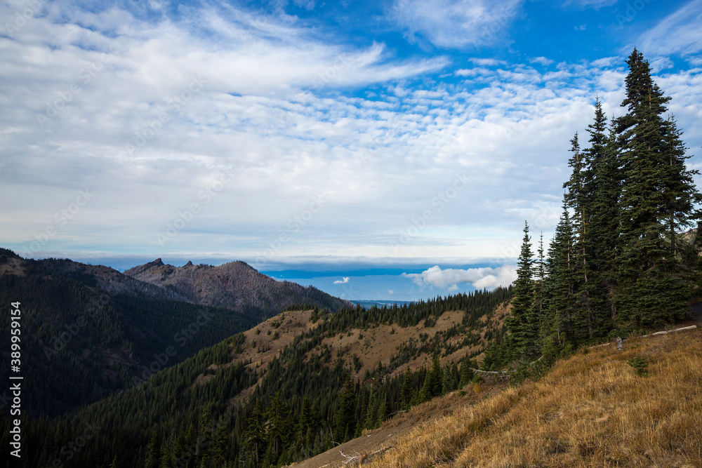 Beautiful landscape view of Hurricane Ridge during the day in Olympic National Park (Washington).