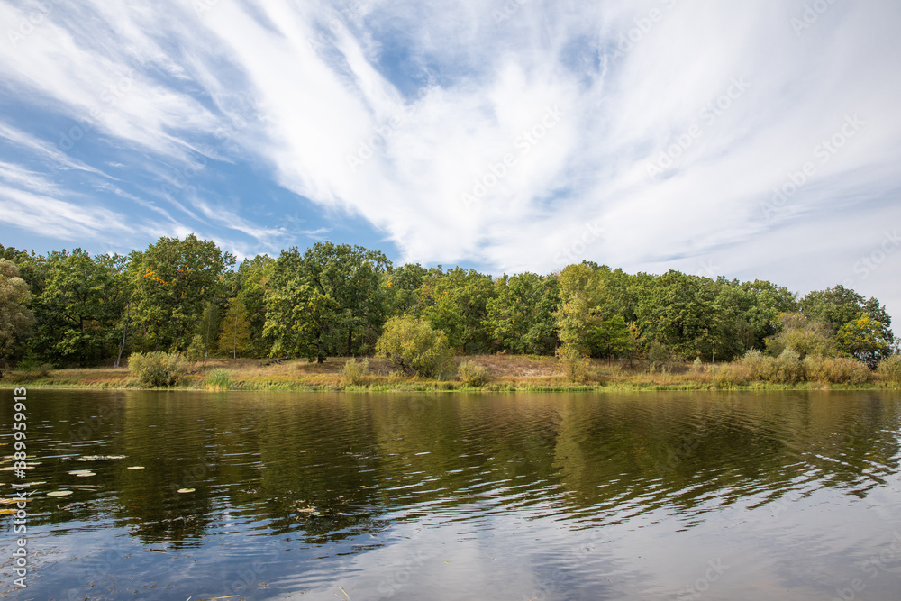 River in a forest area. Mixed forest.