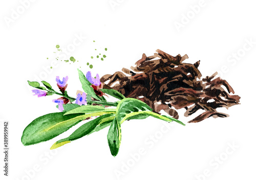 Heap of dry tea leaves and Sage. Hand drawn watercolor illustration isolated on white background