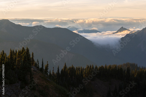 Beautiful landscape view of Hurricane Ridge in Olympic National Park during sunset (Washington).