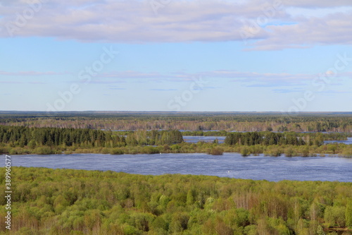 A natural landscape with a skyline  green trees  grass and water. Blue sky with clouds. Photowall-paper