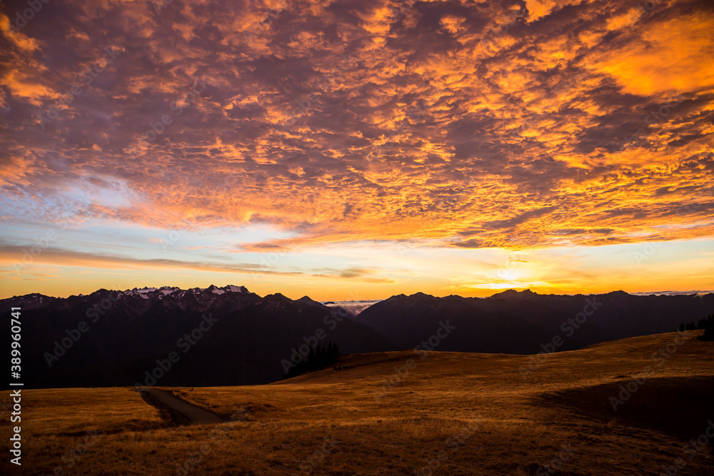 Obraz premium Beautiful landscape view of Hurricane Ridge in Olympic National Park during sunset (Washington).