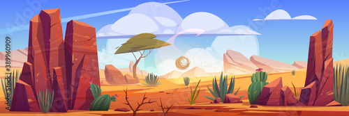 Desert of Africa natural background with tumbleweed rolling along hot dry deserted african nature landscape with yellow sand, green cacti, rocks under blue sky with light clouds cartoon illustration