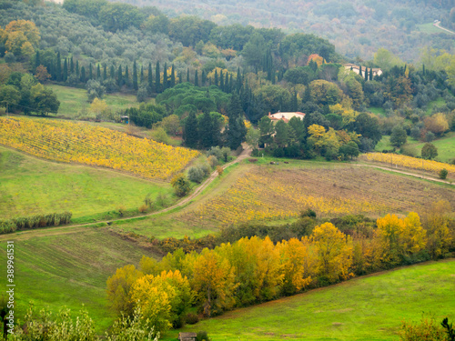 Italia, Toscana, zona del Casentino in autunno.