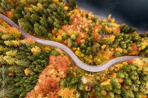 Aerial view of forest and lake in autumn with road. © mdworschak